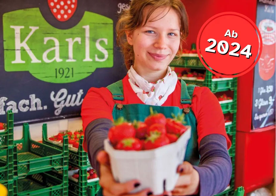 Headerbild Karls Markt OHG - VerkäuferIn für Erdbeeren 2024 (mensch) - 7774420